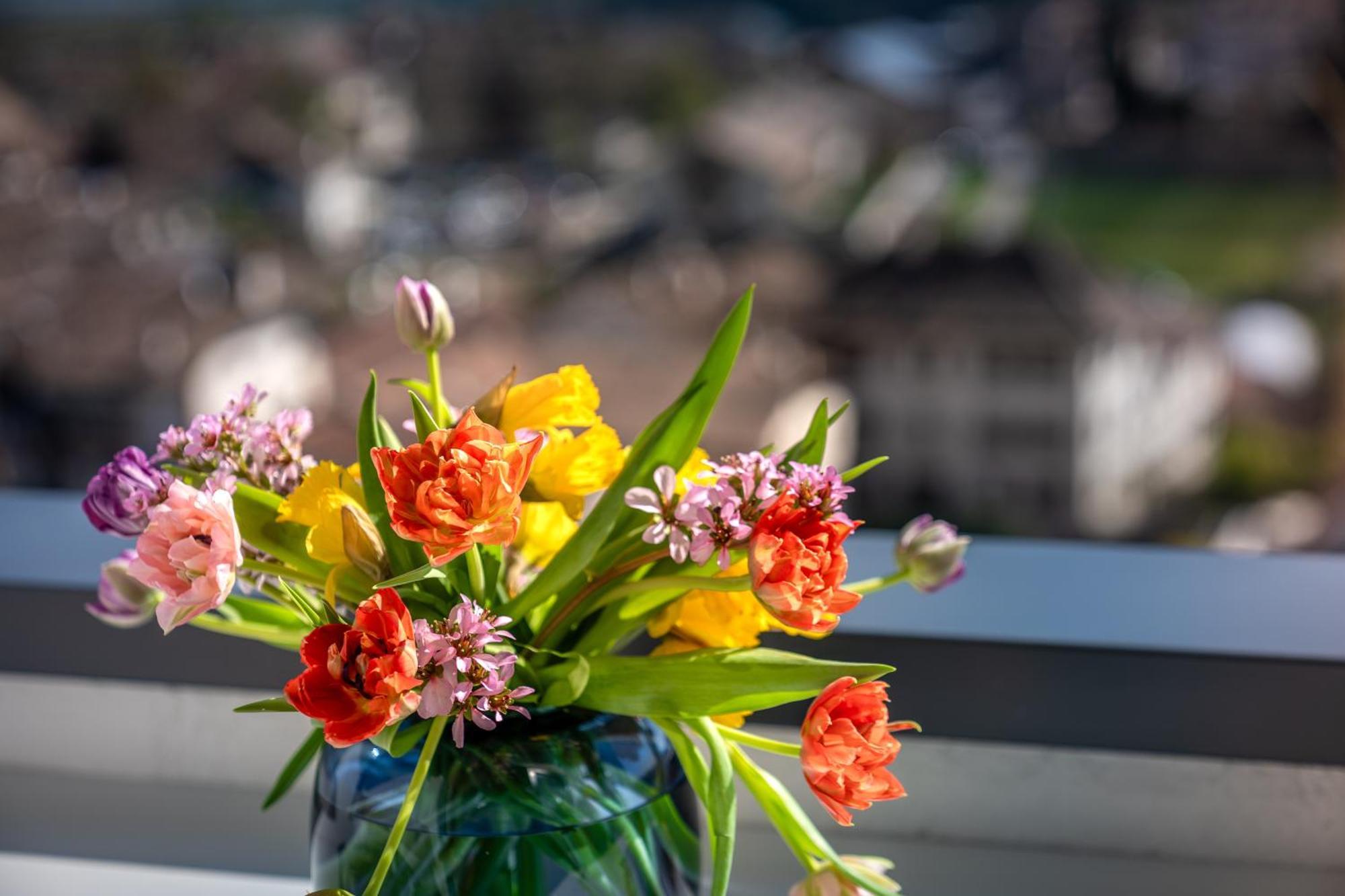 Villa Maria Boutique Apartment St Pauls Eppan an der Weinstraße Buitenkant foto